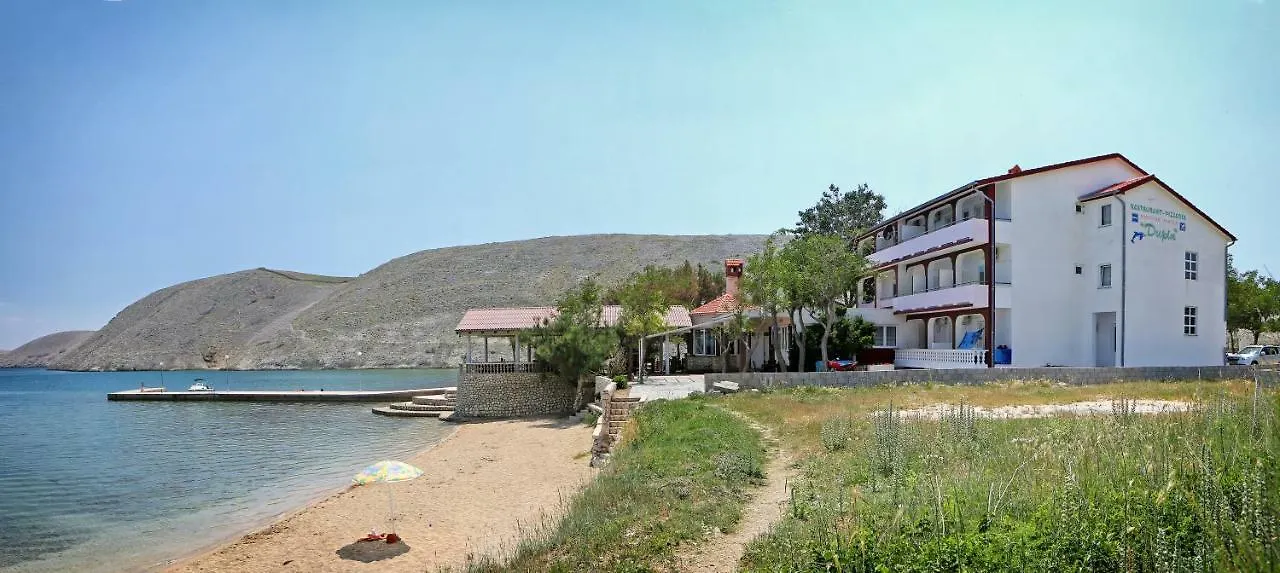 Guest house Guesthouse Dupin Vlasici